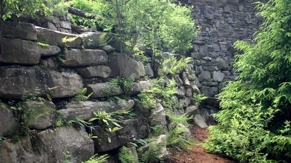 Cashiers Residence by B.B. Barns Landscape Services - Photo 9