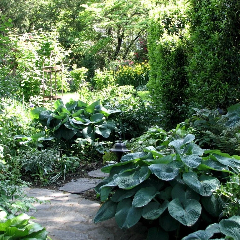 Garden Services & Lawn Maintenance by B.B. Barns Landscape Services - Photo 8