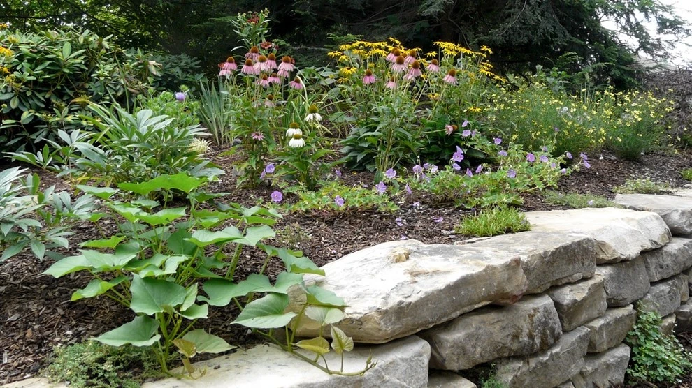 Patios, Walks, Walls, & Drives by B.B. Barns Landscape Services - Photo 8
