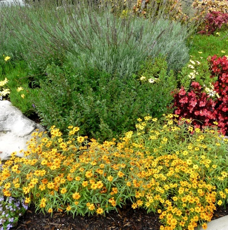 Garden Services & Lawn Maintenance by B.B. Barns Landscape Services - Photo 4
