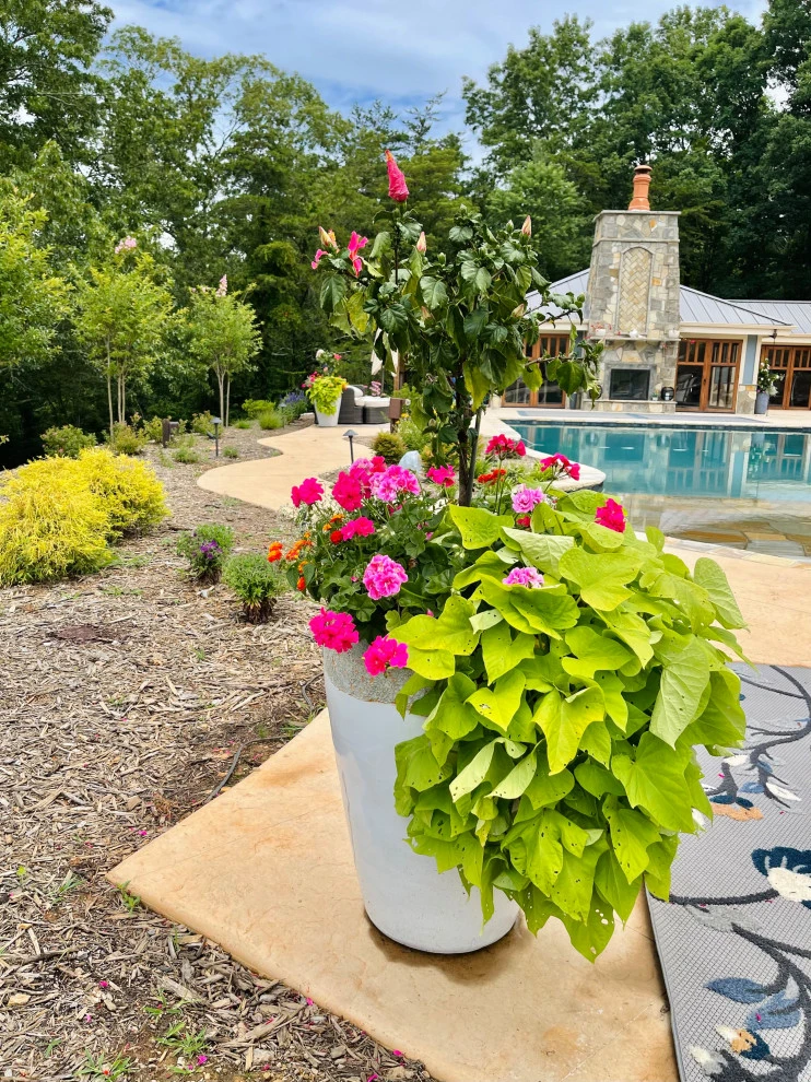 Container Gardening by B.B. Barns Landscape Services - Photo 8