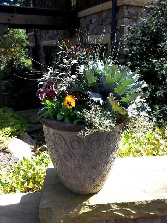 Container Gardening by B.B. Barns Landscape Services - Photo 6
