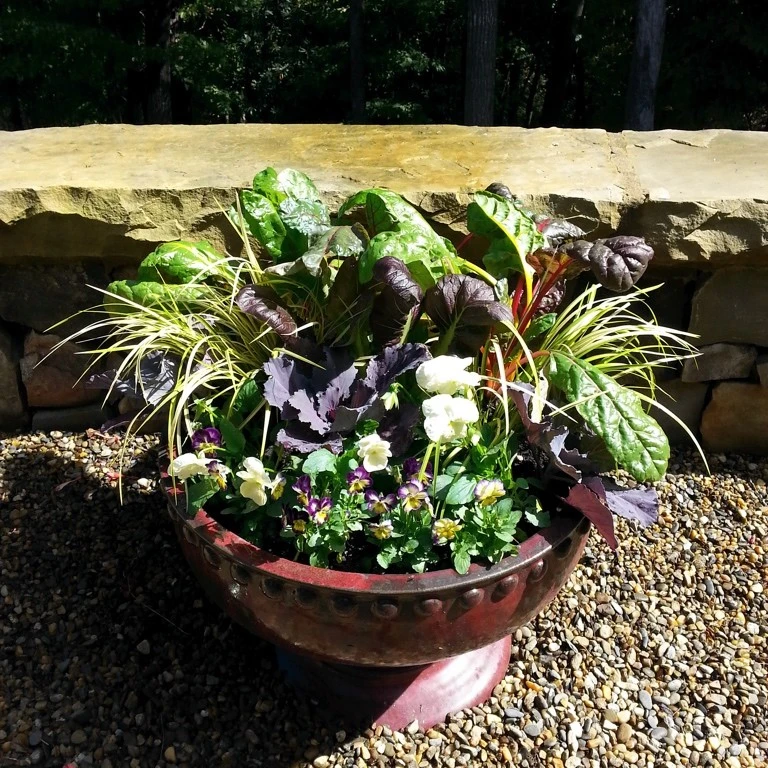 Container Gardening by B.B. Barns Landscape Services - Photo 9