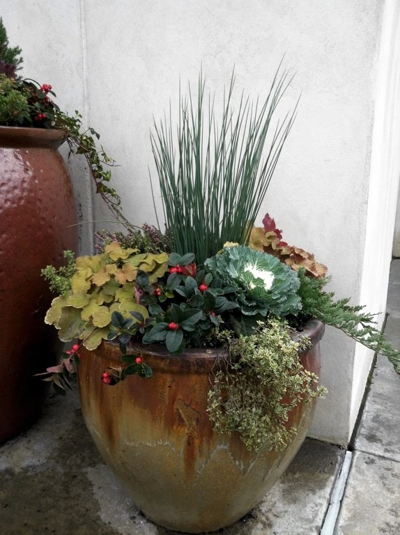 Container Gardening by B.B. Barns Landscape Services - Photo 2