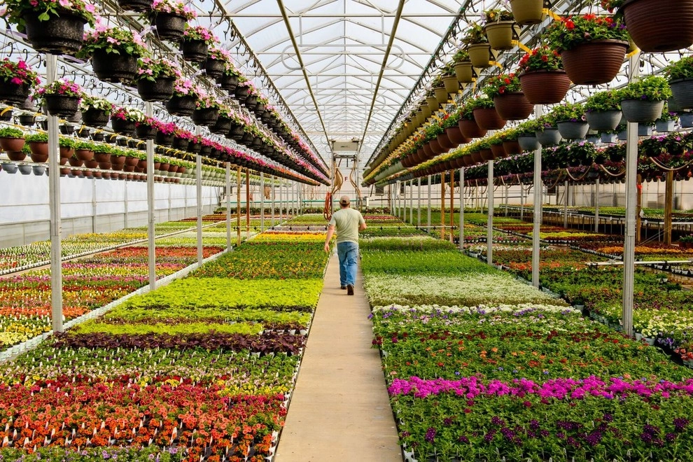 Growing Fabulous for You by Sargent's Gardens - Photo 27