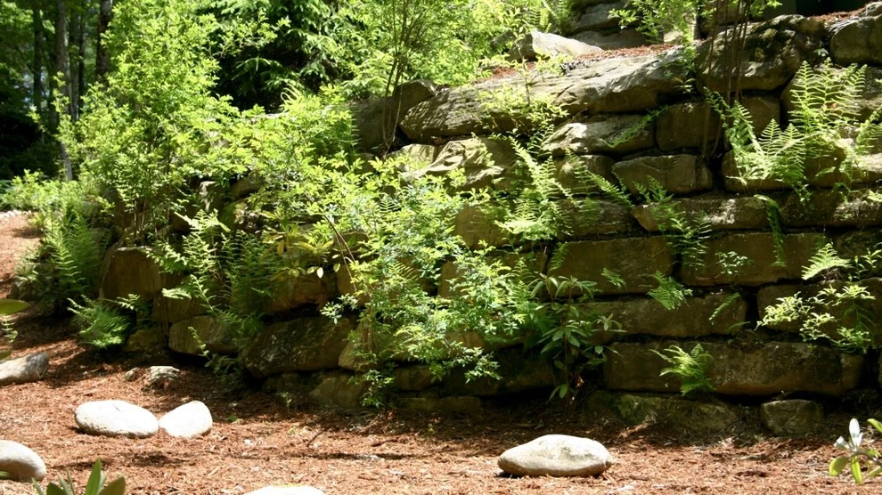 Cashiers Residence by B.B. Barns Landscape Services - Photo 3