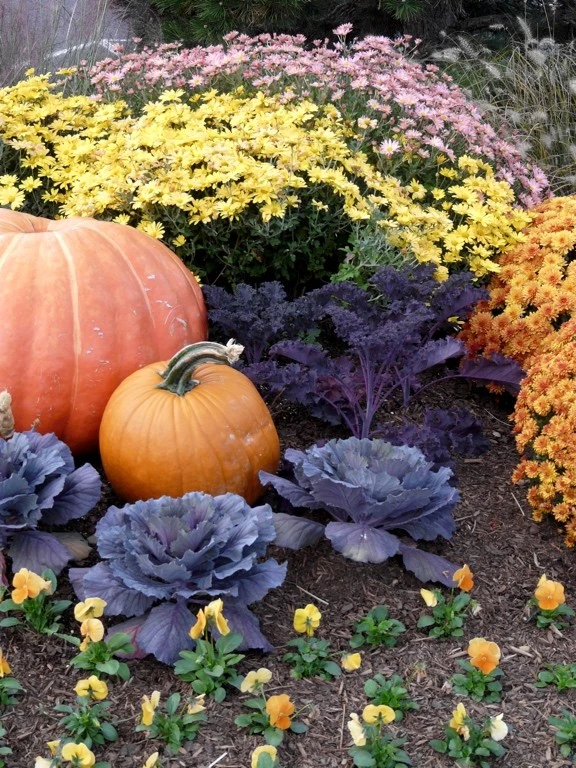 Garden Services & Lawn Maintenance by B.B. Barns Landscape Services - Photo 6