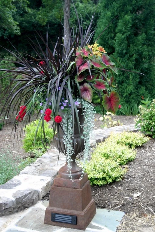 Container Gardening by B.B. Barns Landscape Services - Photo 10
