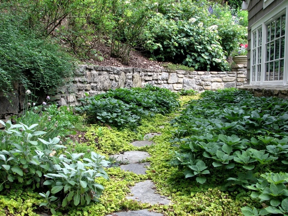 Garden Services & Lawn Maintenance by B.B. Barns Landscape Services - Photo 9