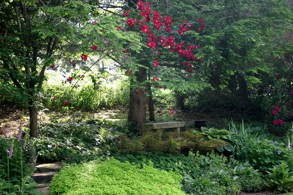Garden Services & Lawn Maintenance by B.B. Barns Landscape Services - Photo 2