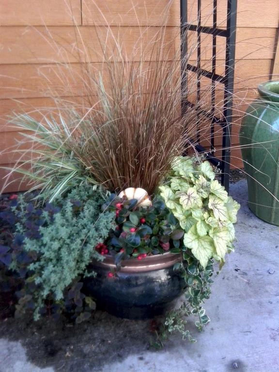 Container Gardening by B.B. Barns Landscape Services - Photo 4