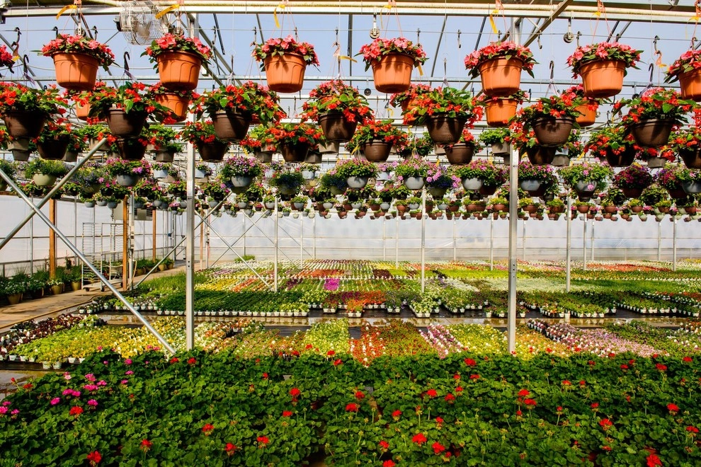 Growing Fabulous for You by Sargent's Gardens - Photo 36