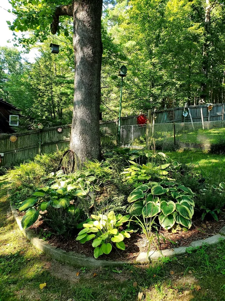 Outdoor Initiatives by Hambrick's Flooring And Remodeling - Photo 2