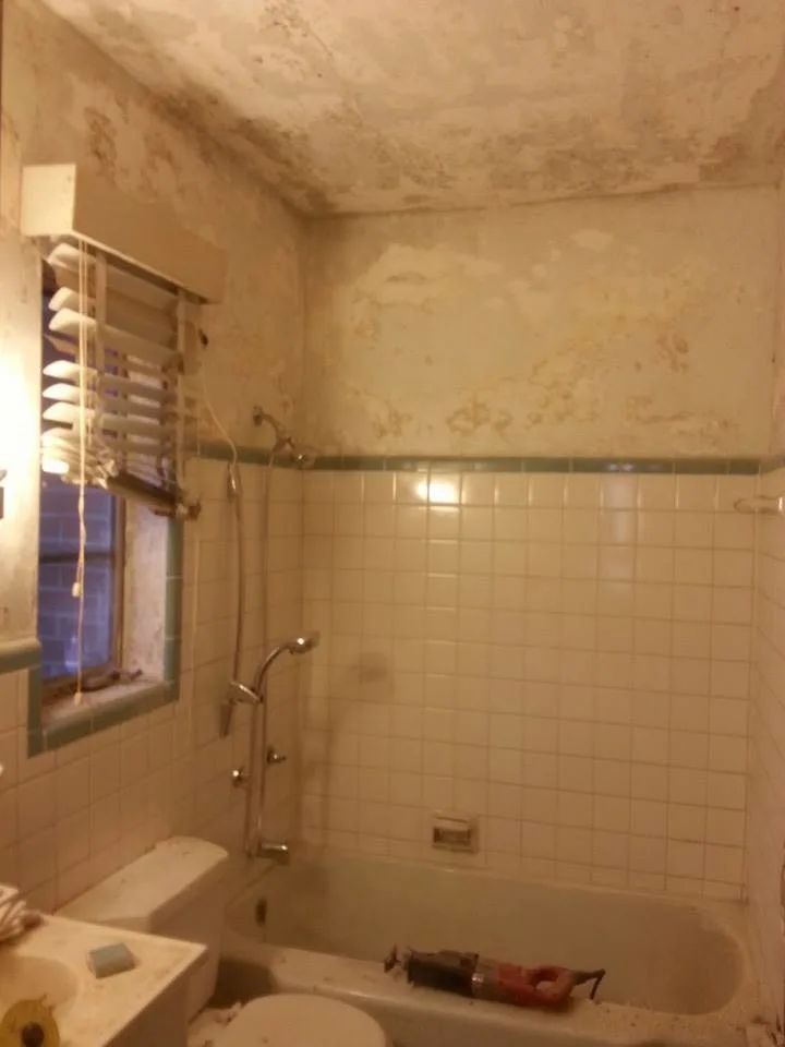 Palmer/Worth Bathroom Renovation by Avant & Avant Construction Inc - Photo 2