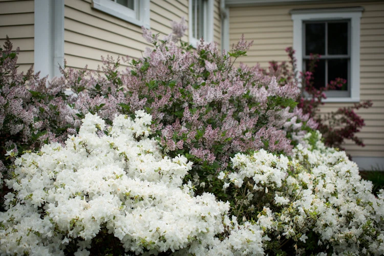 Residential by Breath Of Spring Landscaping - Photo 19
