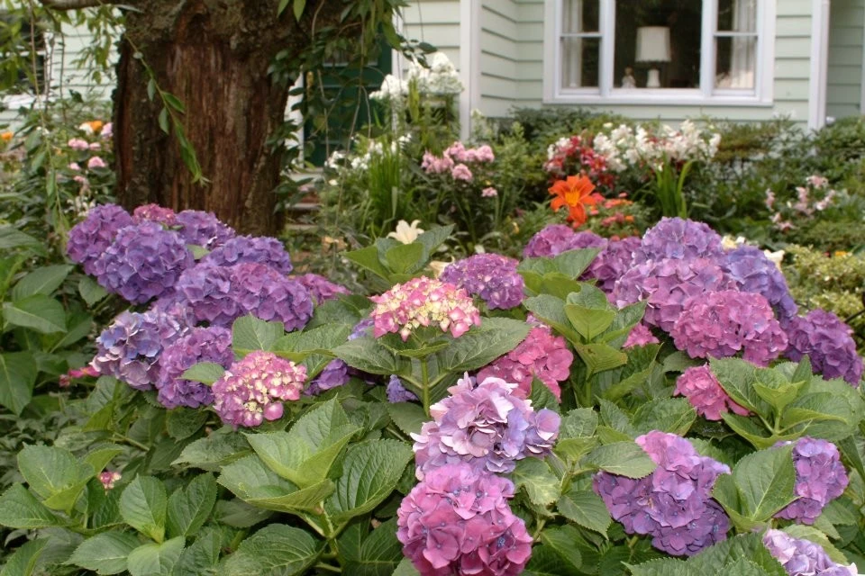 Pelham Landscaping by Breath Of Spring Landscaping - Photo 10
