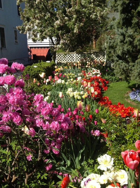 Residential by Breath Of Spring Landscaping - Photo 18