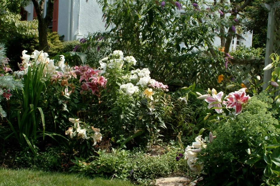 Pelham Landscaping by Breath Of Spring Landscaping - Photo 8