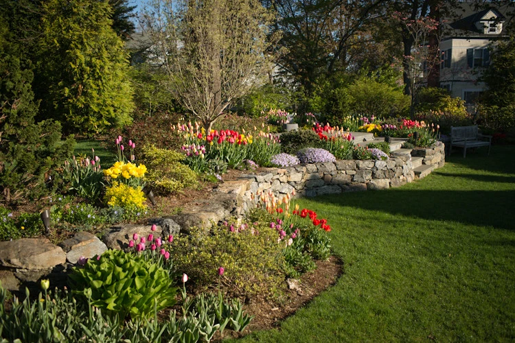 Residential by Breath Of Spring Landscaping - Photo 17
