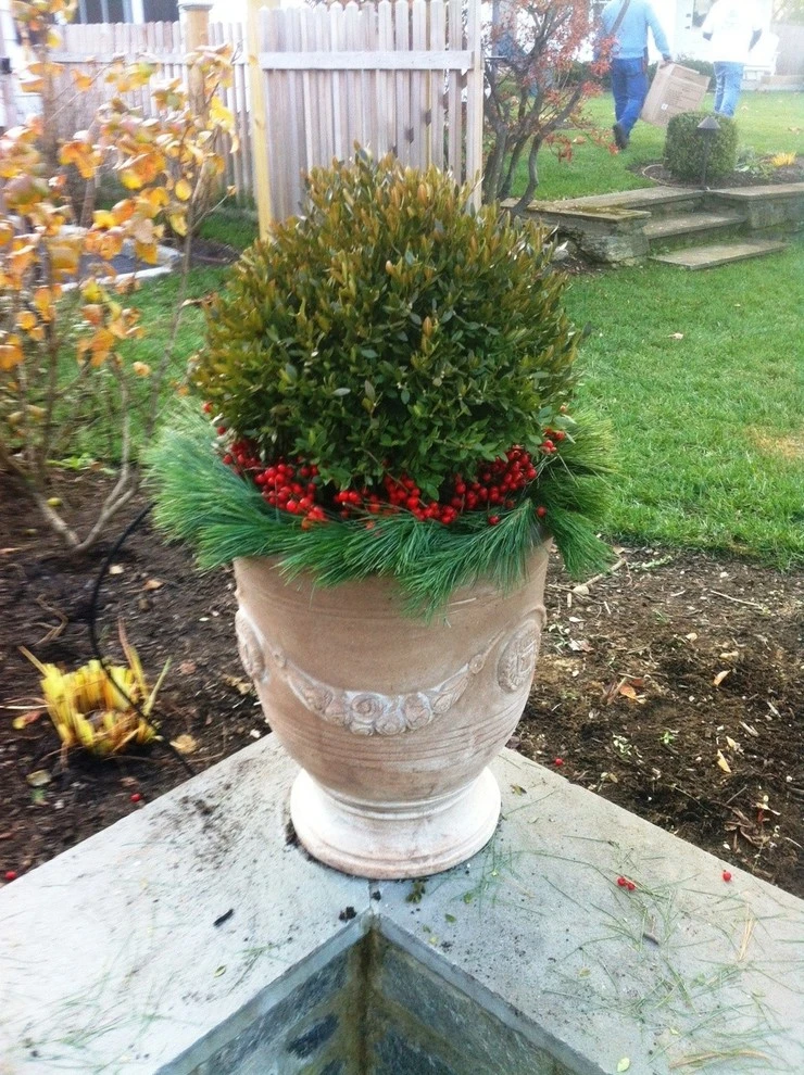 Winter Arrangements by Burke Brothers Landscape Design/Build - Photo 2