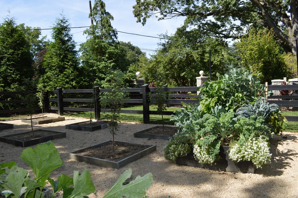 Vegetable Garden by Burke Brothers Landscape Design/Build - Photo 2