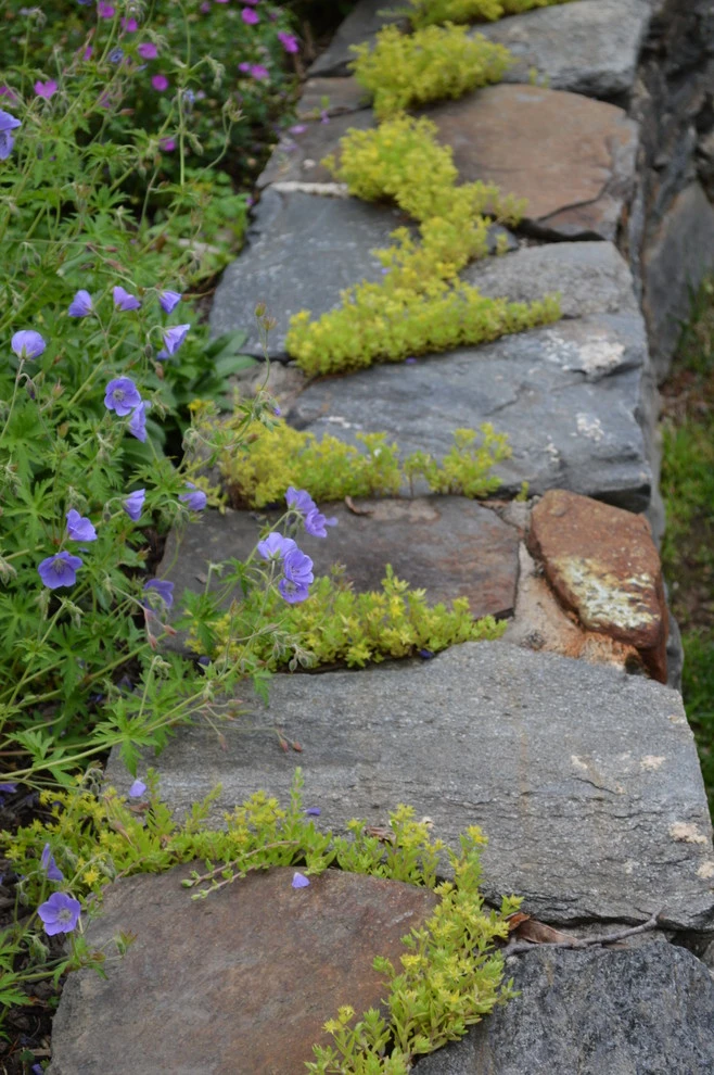 Unique Features by Burke Brothers Landscape Design/Build - Photo 7