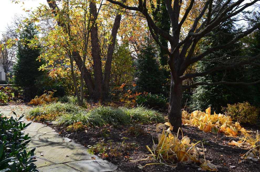 Cape Cod Surrounded by Native Gardens by Burke Brothers Landscape Design/Build - Photo 8