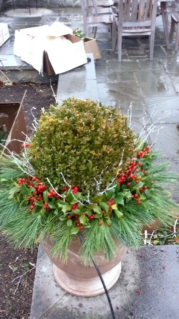Winter Arrangements by Burke Brothers Landscape Design/Build - Photo 6