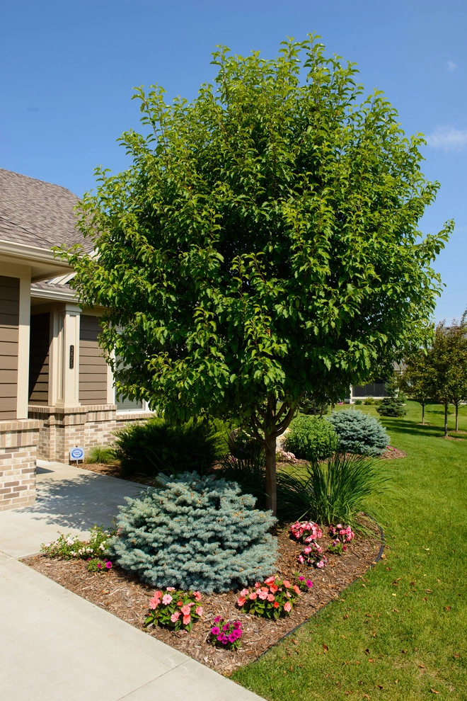 Planting Design and Plant Combinations by Sargent's Gardens - Photo 12