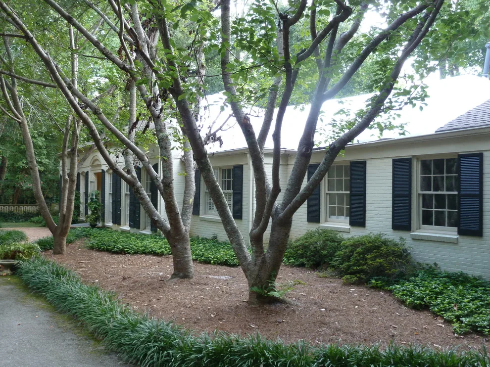 Pinestream Transformation by Fitzgerald Construction - Photo 8