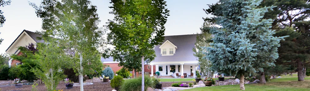 Franktown Estates Plantation Design by John Anderson Construction - Photo 3