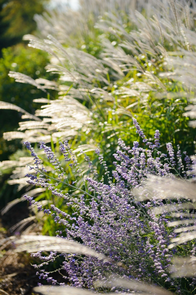 A Touch of Tuscany by Sargent's Gardens - Photo 4