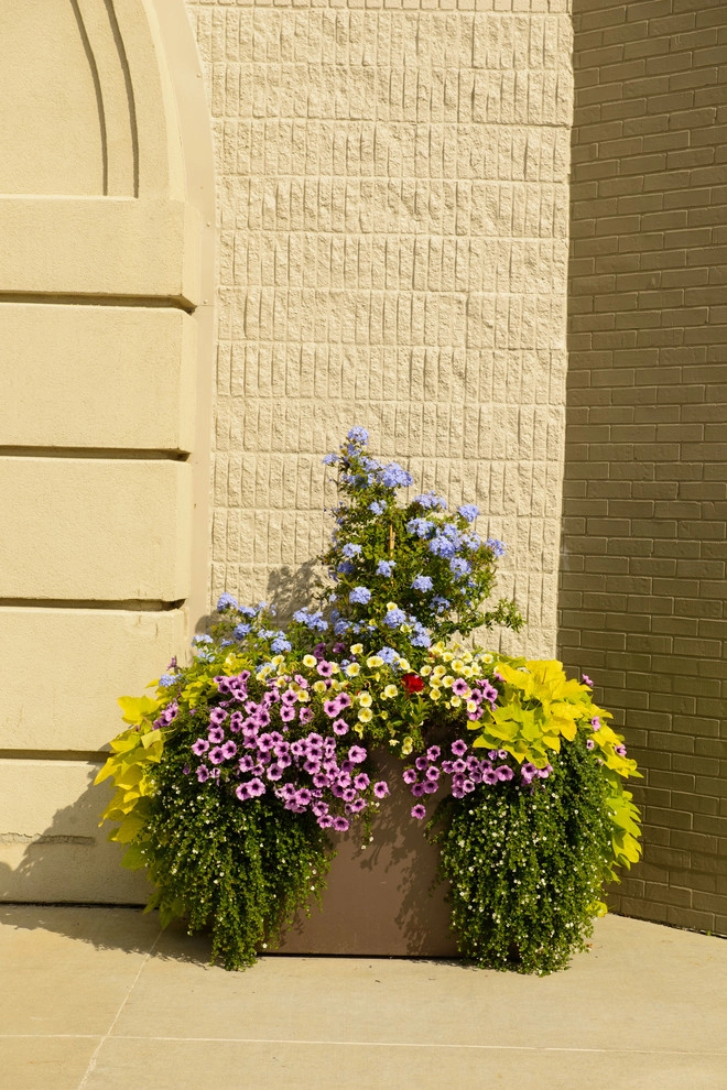 Apache Mall by Sargent's Gardens - Photo 9