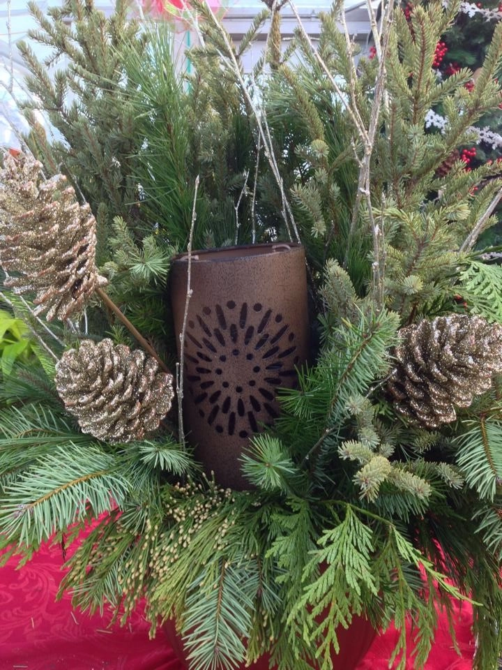 Floral Arrangements & Gifts by Sargent's Gardens - Photo 2