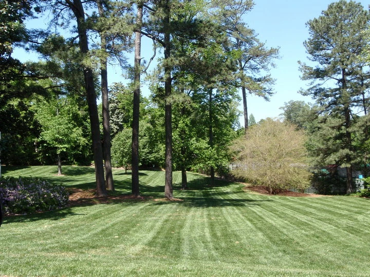 Classey Landscape And Irrigation - Photo 2