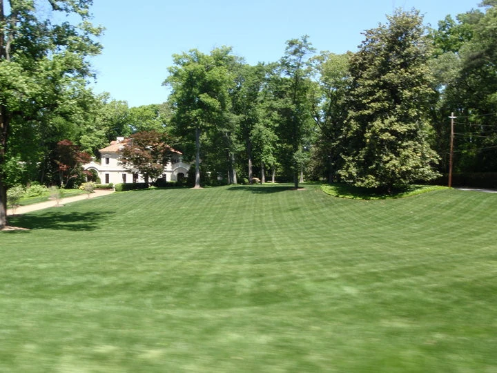 Classey Landscape And Irrigation - Photo 11