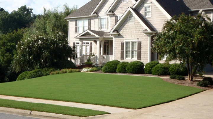 Classey Landscape And Irrigation - Photo 8