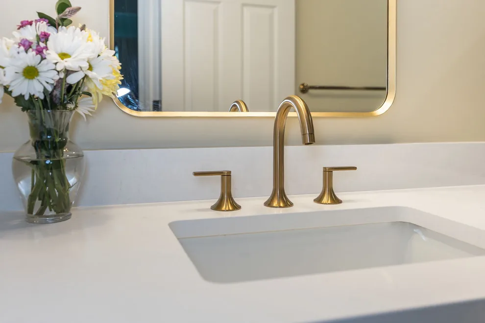 Main and Guest Bathroom Remodel by Lakeside Renovation & Design - Photo 13