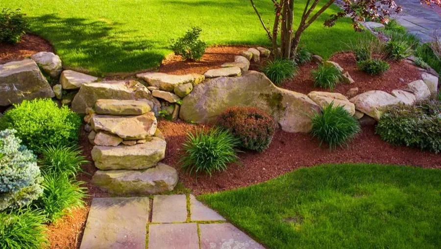 Sergio's Landscape Corp - Photo 7