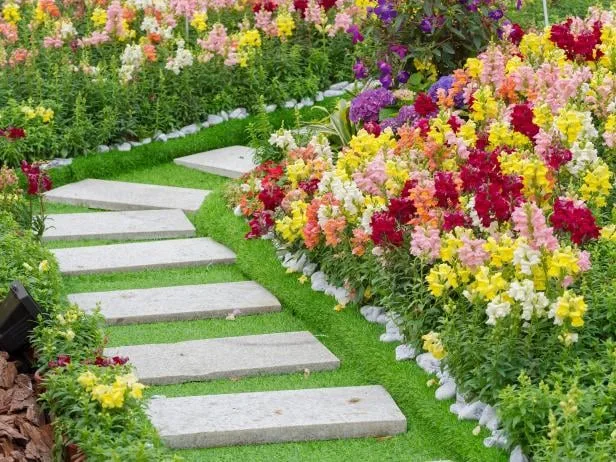 Sergio's Landscape Corp - Photo 6