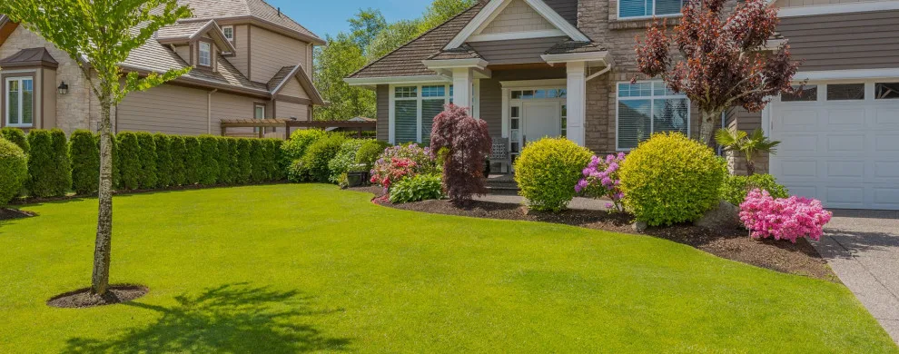 Sergio's Landscape Corp - Photo 8