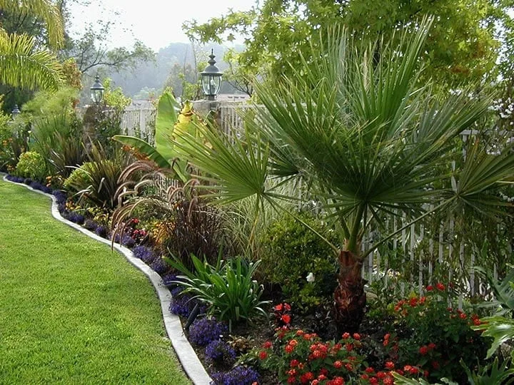 Sergio's Landscape Corp - Photo 2