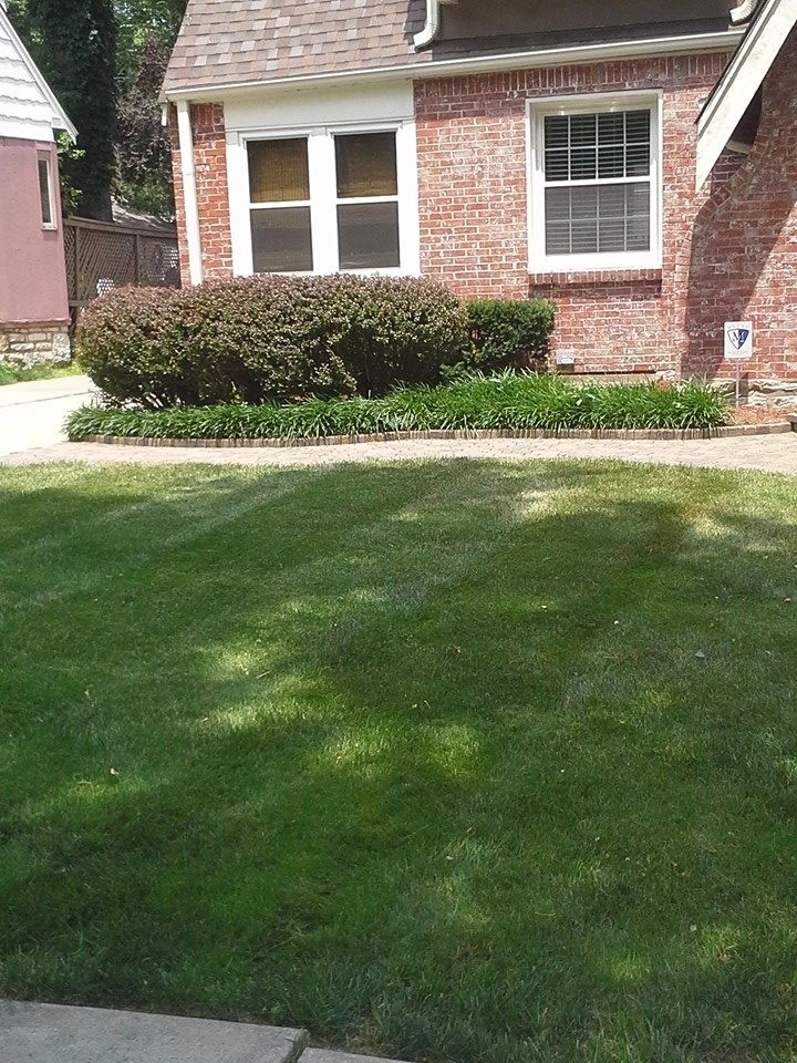 Lawn Care by SK Lawn Care - Photo 14