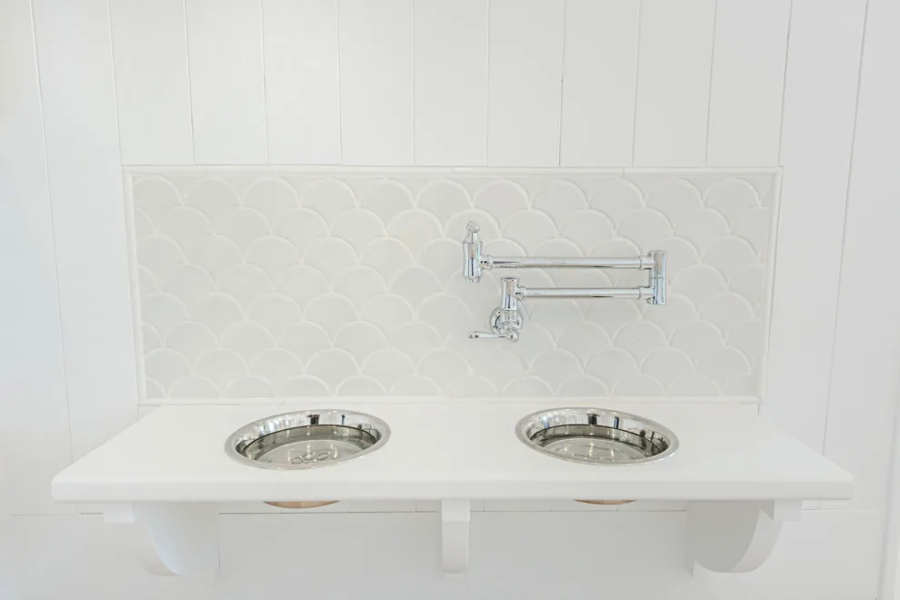 Desert Oasis by Kingdom & Co. - Photo 32