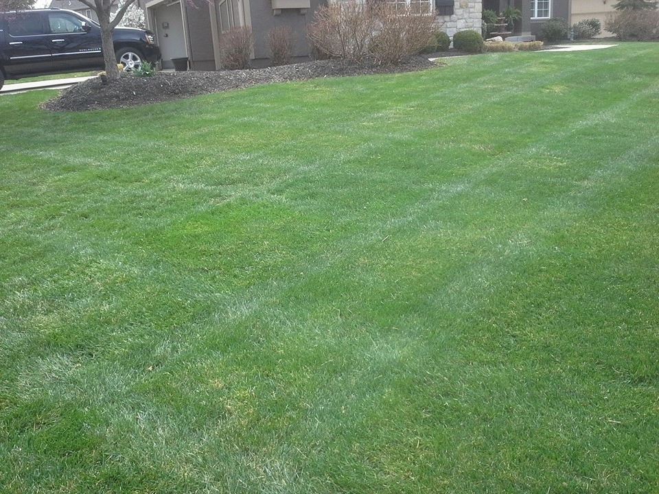 SK Lawn Care - Photo 3
