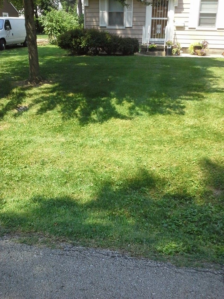 SK Lawn Care - Photo 11