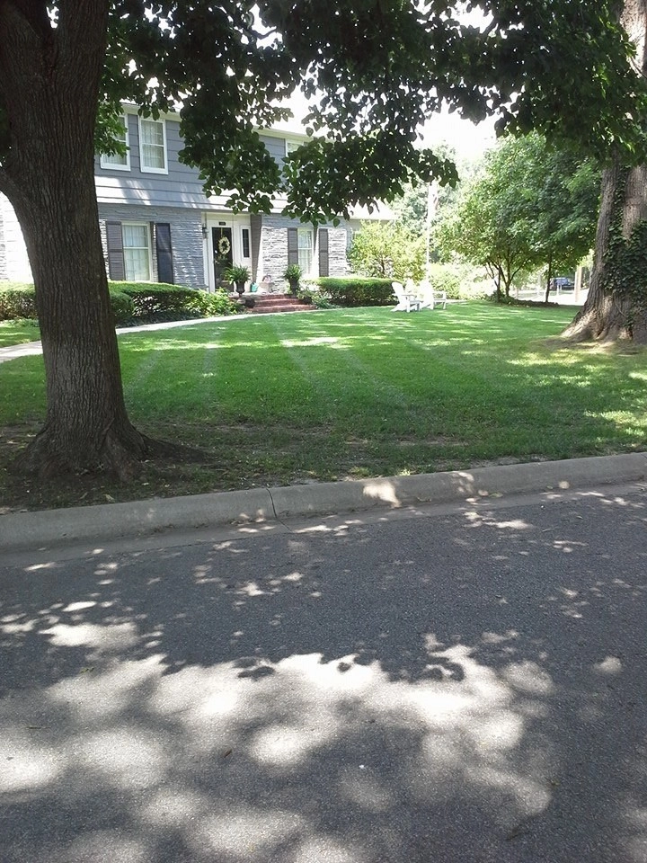 SK Lawn Care - Photo 5