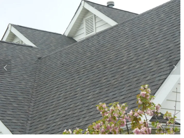 Roofing Solutions by Stein Design & Development Inc - Photo 7