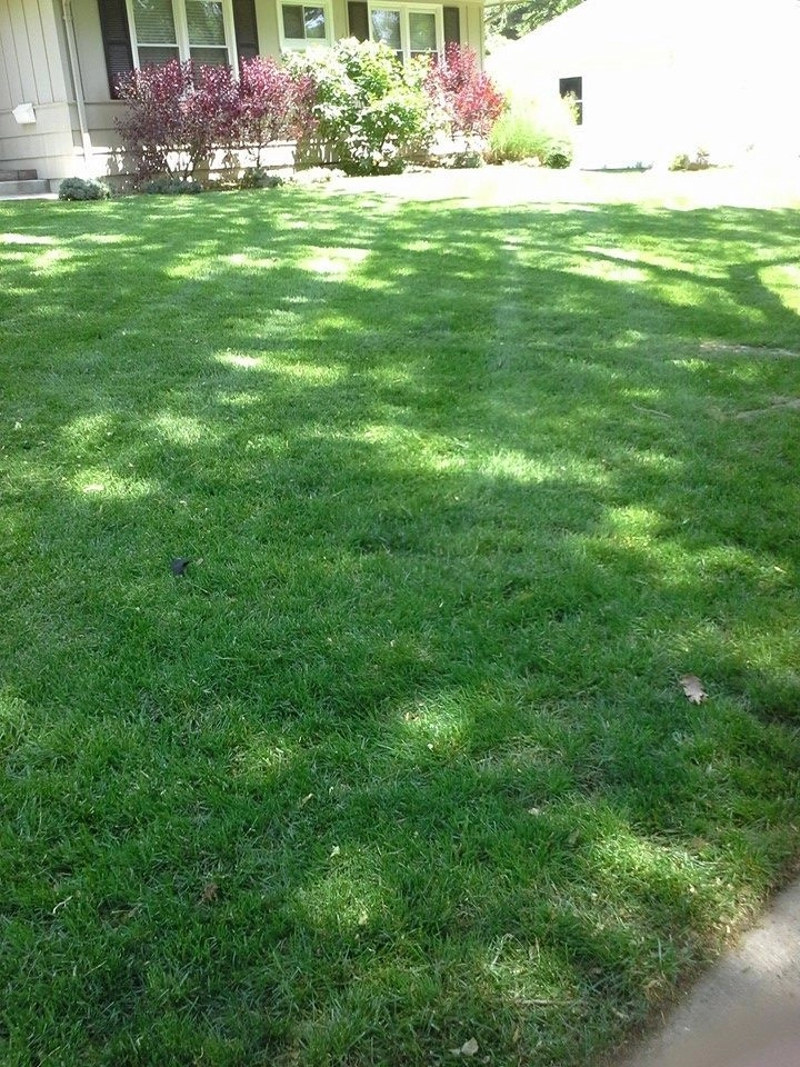 SK Lawn Care - Photo 9