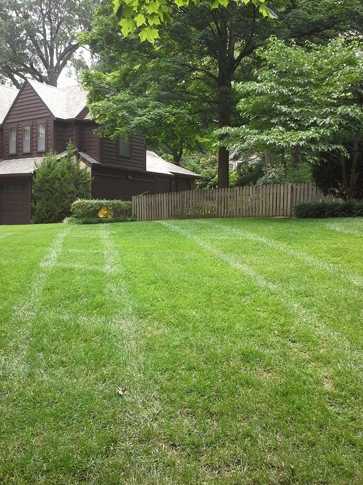 Lawn Care by SK Lawn Care - Photo 9